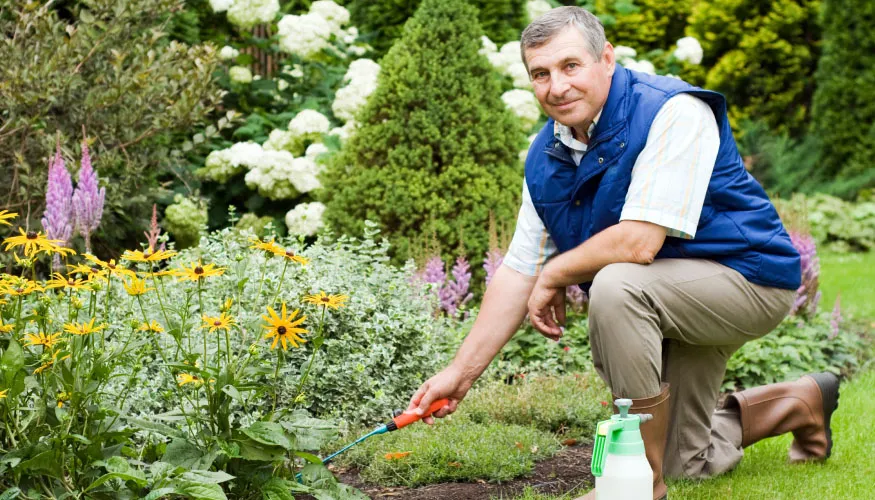 The Impact of Landscaping on Mental Health